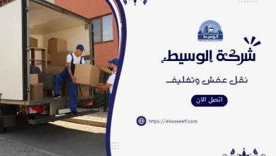 شركة نقل اثاث بالمنيل